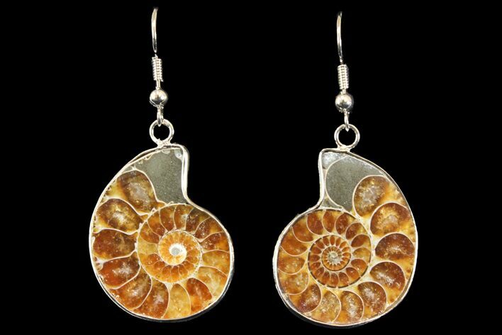Fossil Ammonite Earrings - Million Years Old #142871